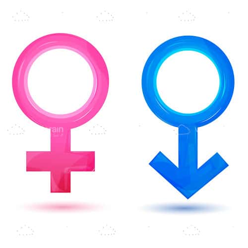 Pink And Blue Gender Icons Vectorjunky Free Vectors Icons Logos And More